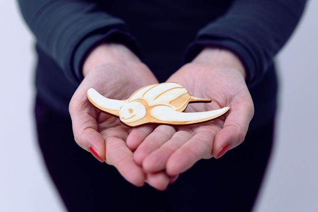 Eine Holzschildkröte liegt in übereinandergelegten Händen. (Foto: Anke Neumeister/Deutsches Meeresmuseum)